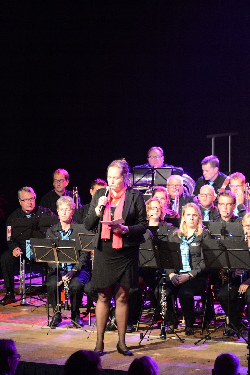 ../Images/Jubileumconcert 100 jaar Harpe Davids 275.jpg